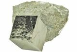 Natural Pyrite Cube In Rock - Navajun, Spain #211393-1
